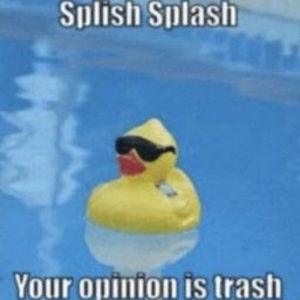 Meet your Posher, Madisen